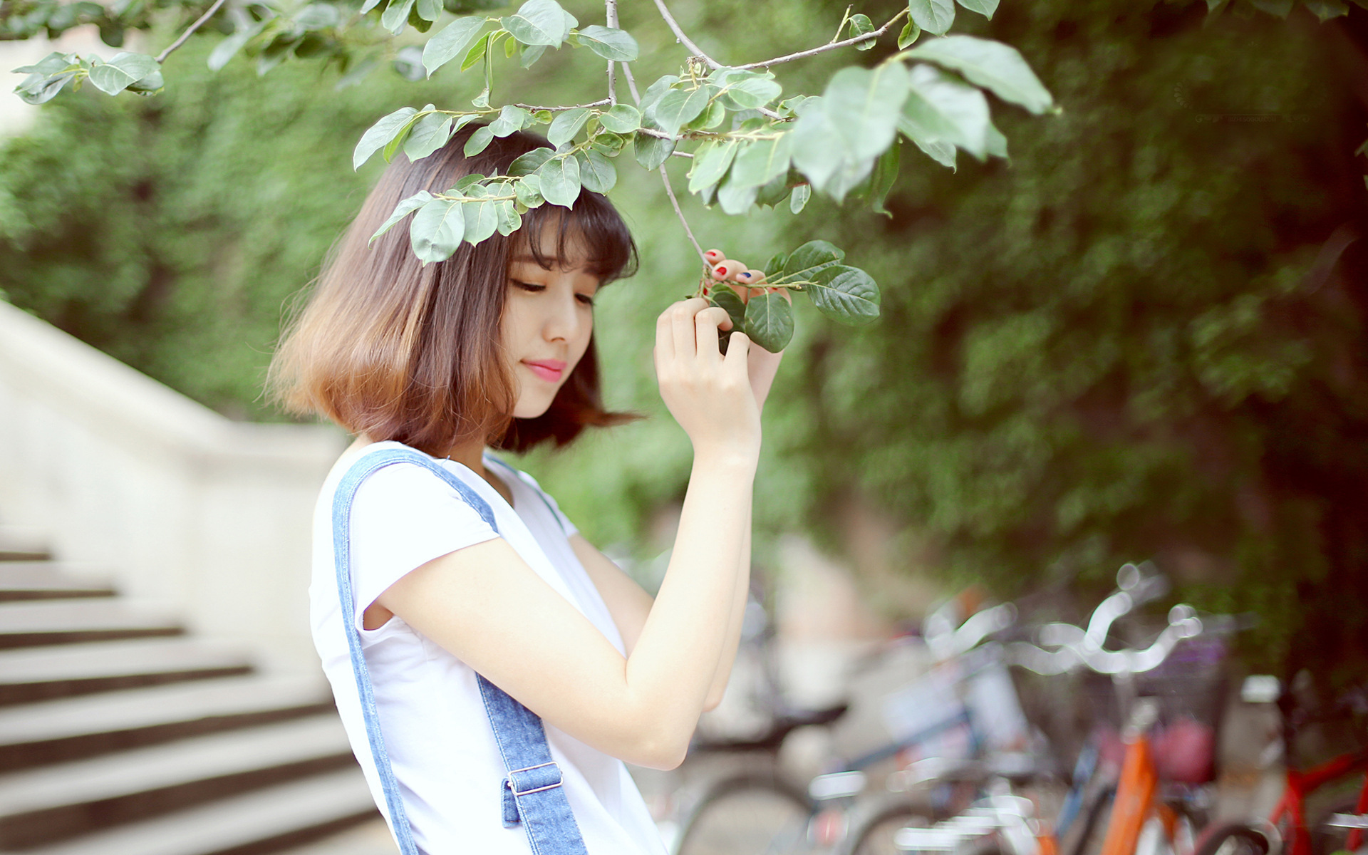 小清新个人博客主页