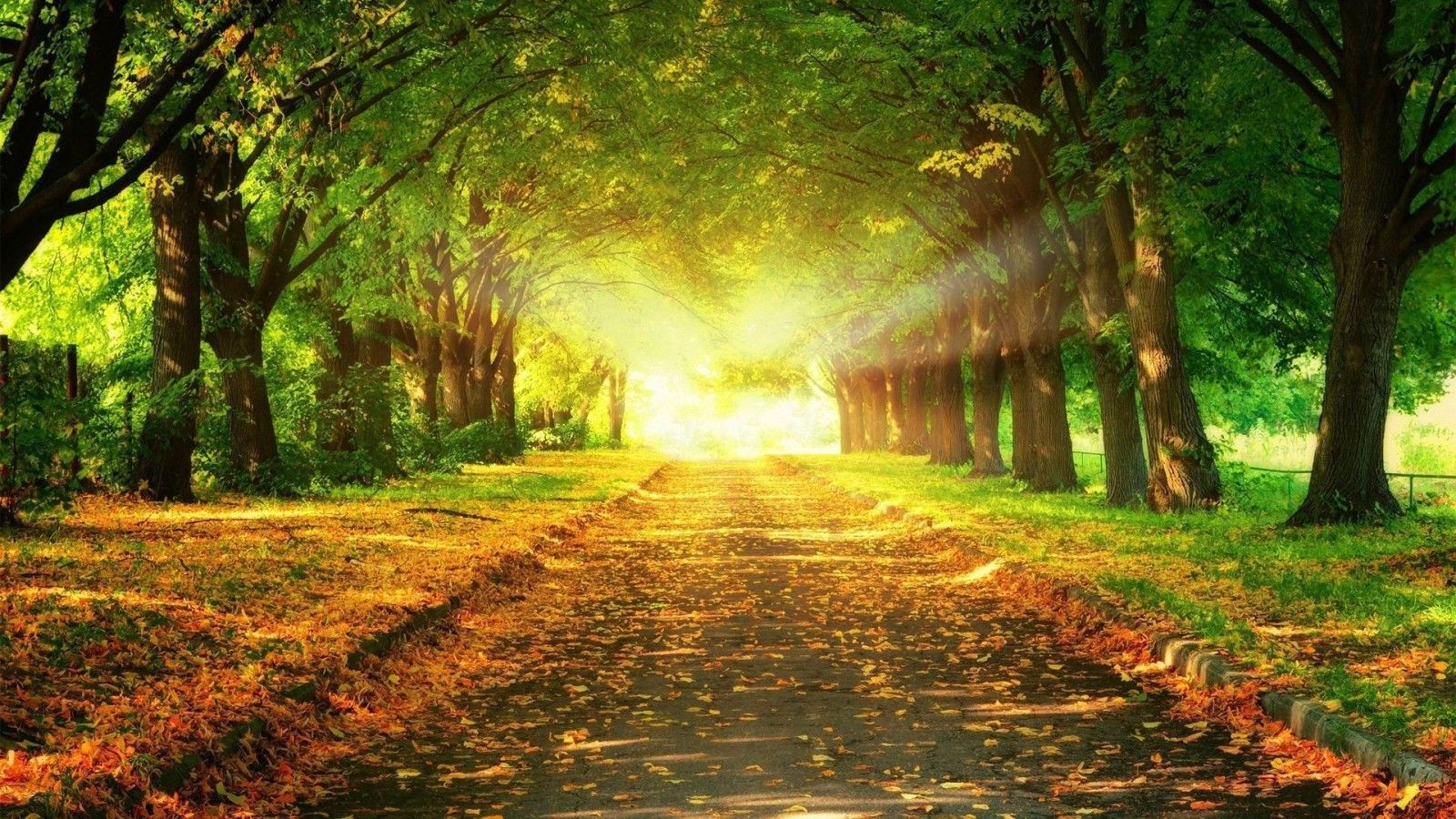 小清新个人博客主页